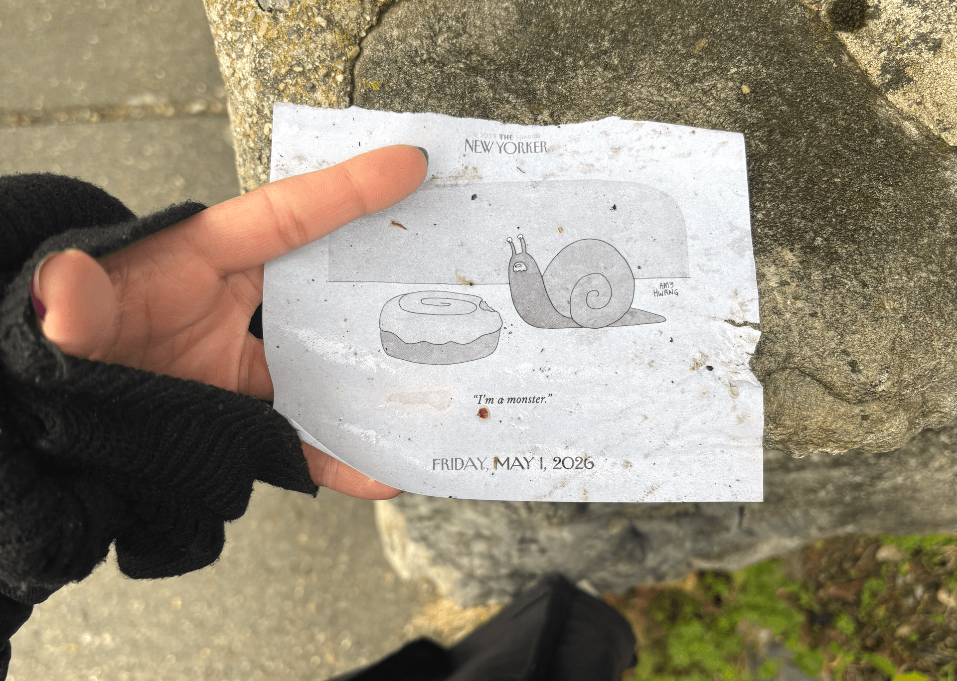 snail pic