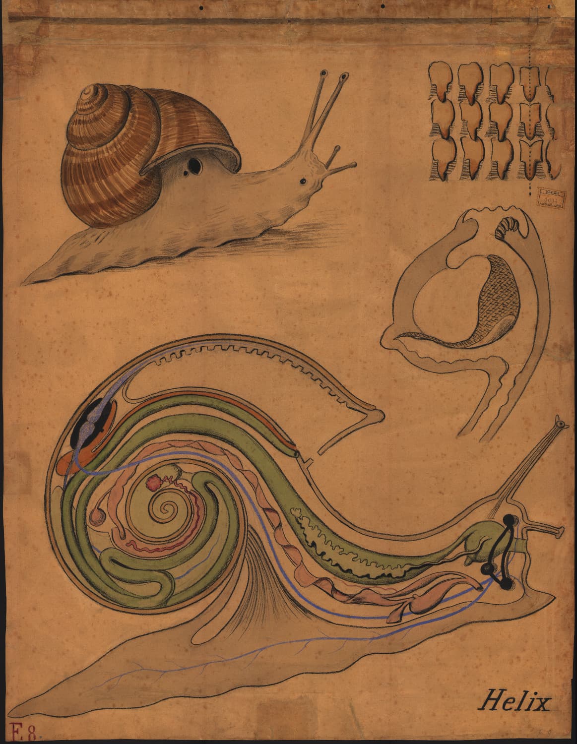 Art 1