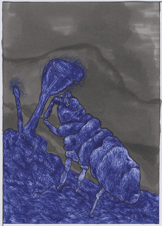 Image 12