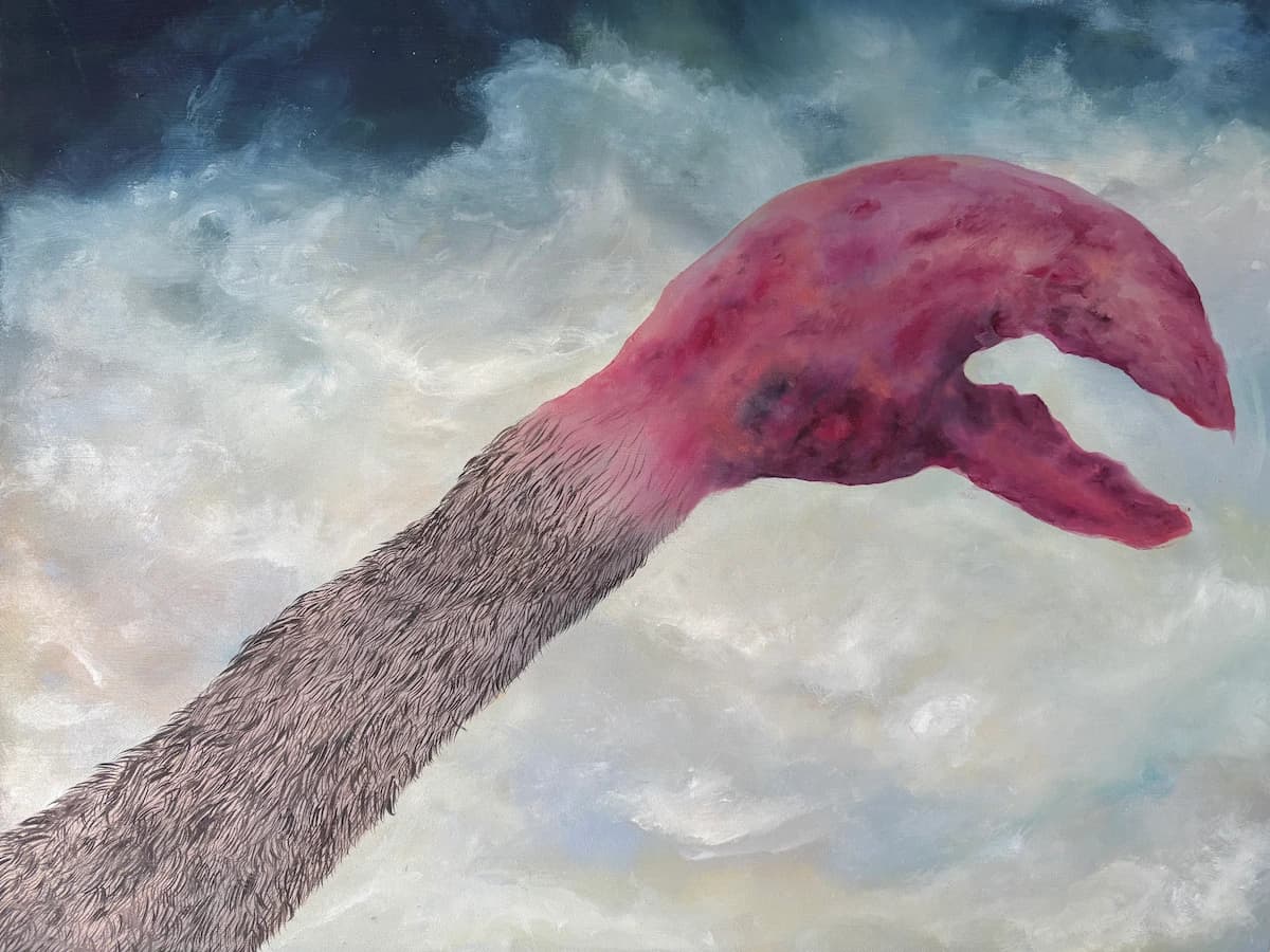 Crab Hand, 2024