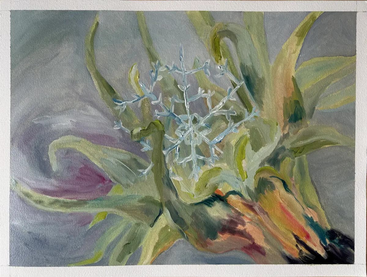 Snowflake on Sea Flower, 2025