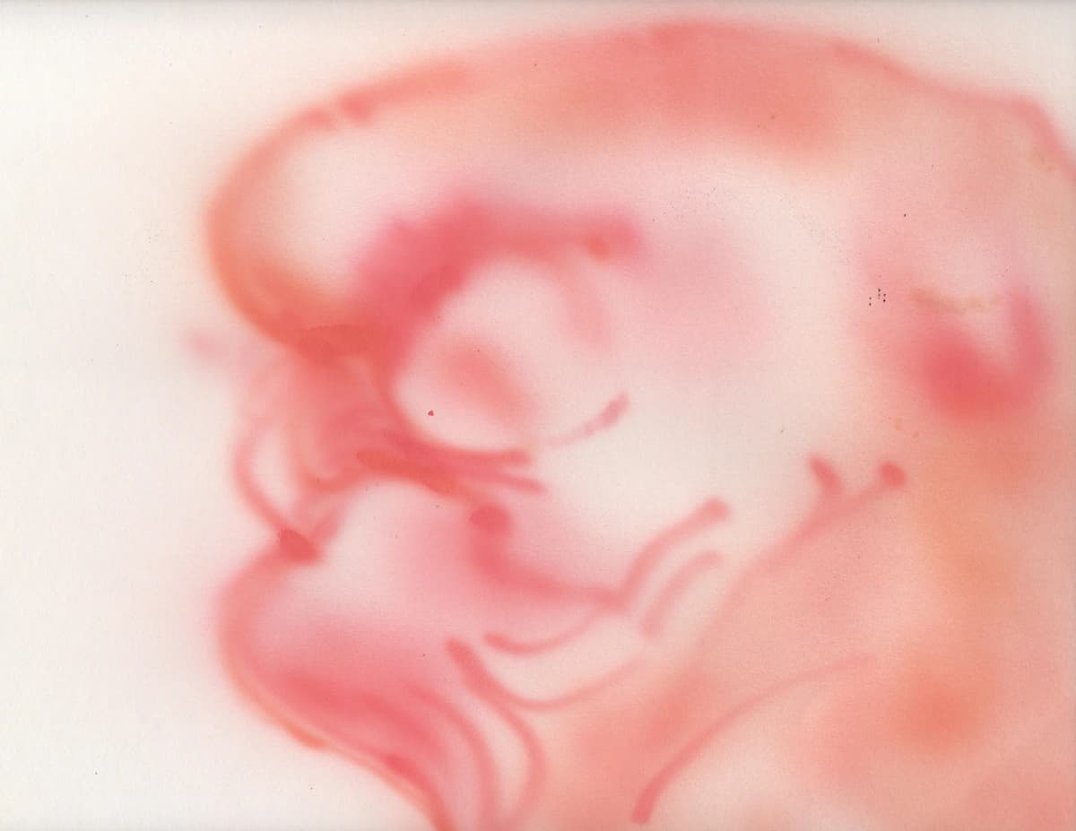 Study in Developmental Biology (2), 2025