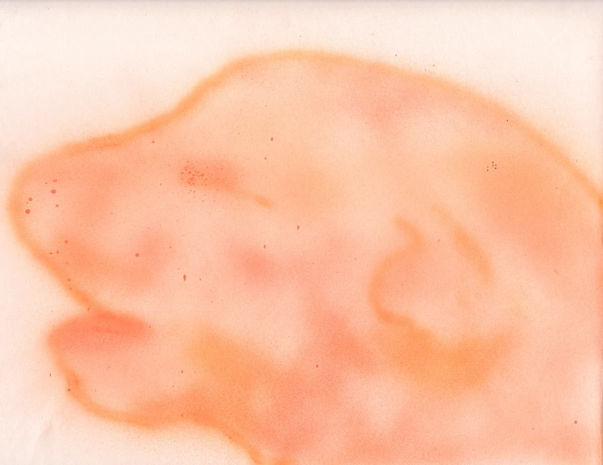 Study in Developmental Biology (3), 2025