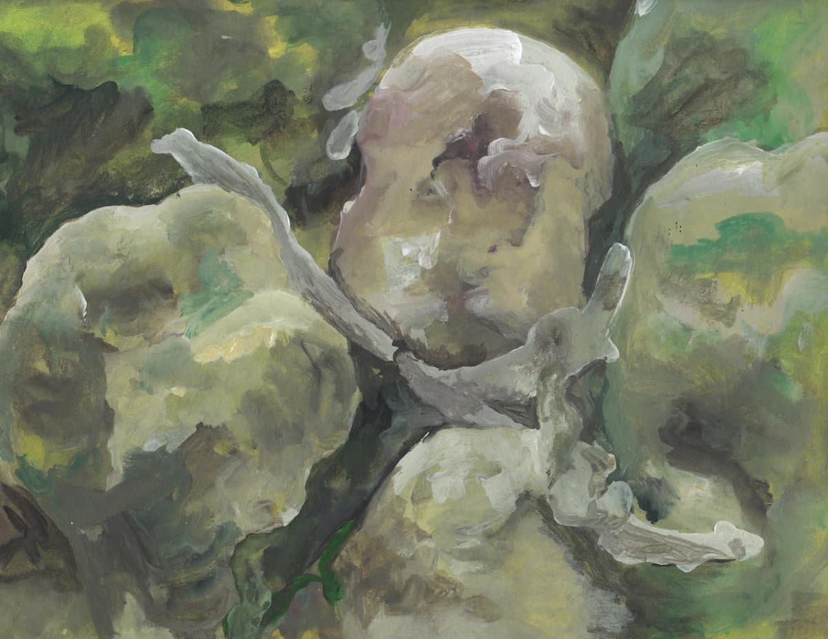 Study of Bivalves, 2025