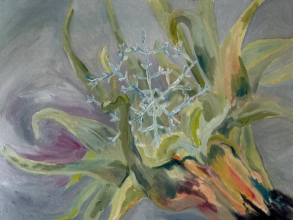 Snowflake on Sea Flower