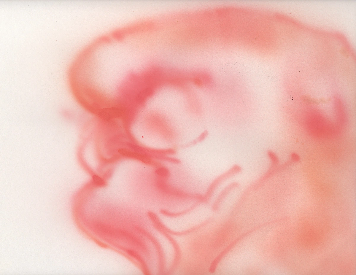 Study in Developmental Biology (2)