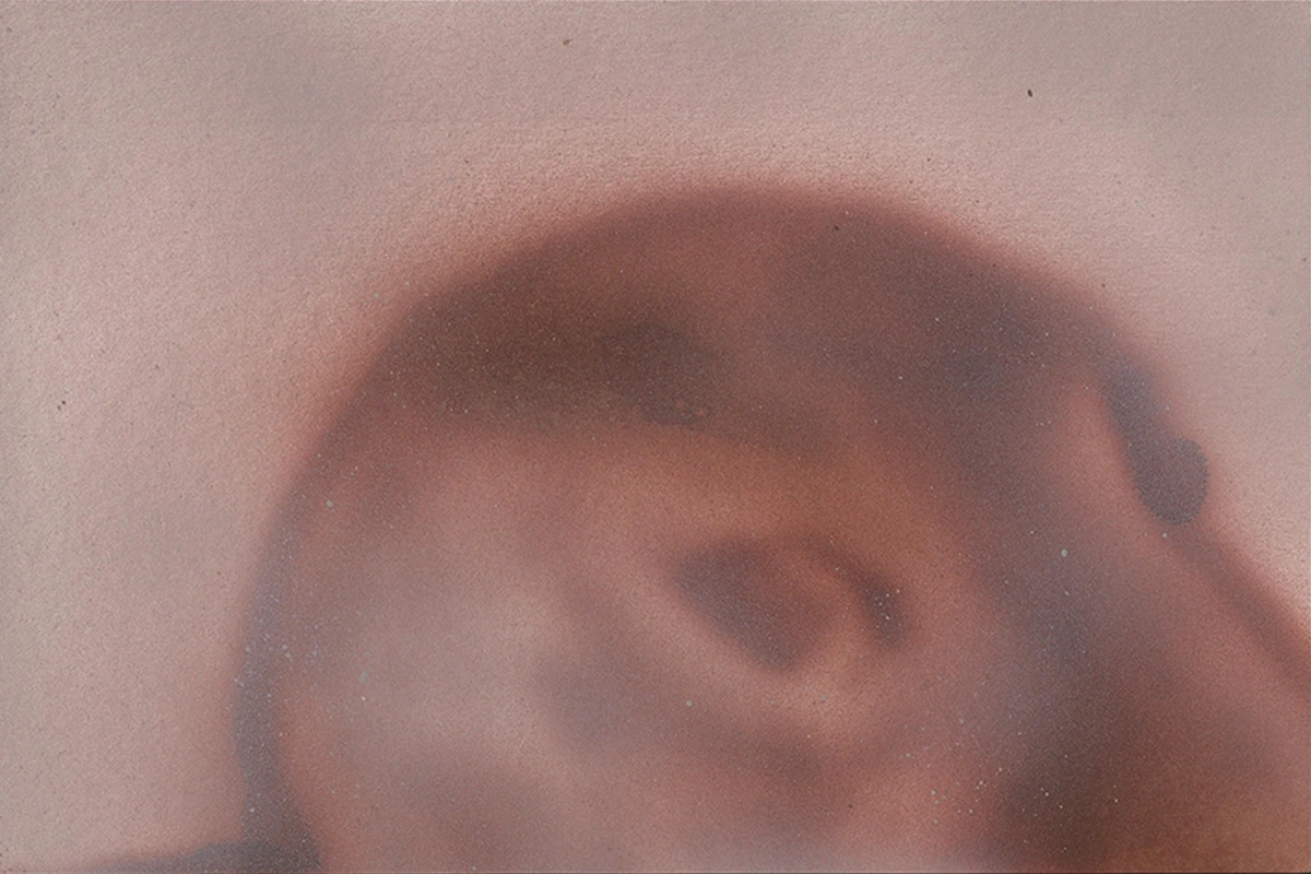 Study of Sea Lion